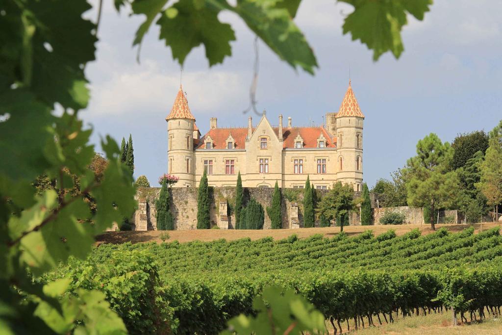 Chateau Moncassin Leyritz-Moncassin Екстериор снимка